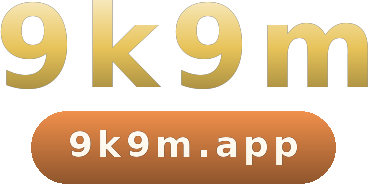 9k9m logo